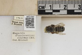 Media type: image;   Entomology 786086 Aspect: Labels